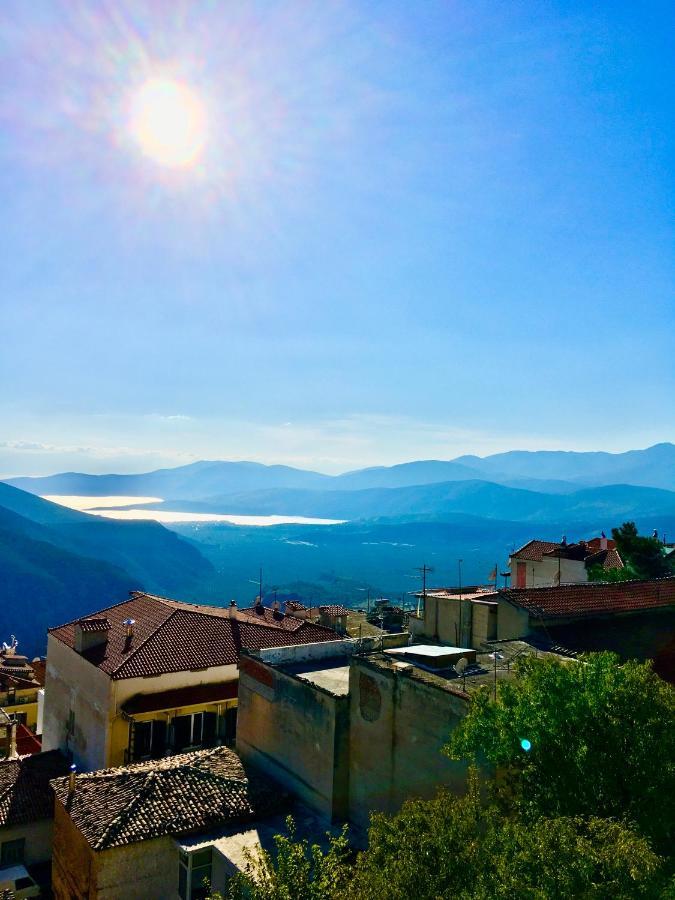 Delphi Celebrity V I P The Navel Of The Earth, Center-Delphi-Penthouse Galaxy&Sky Panoramic View, Harmony&Yoga Appartement Buitenkant foto